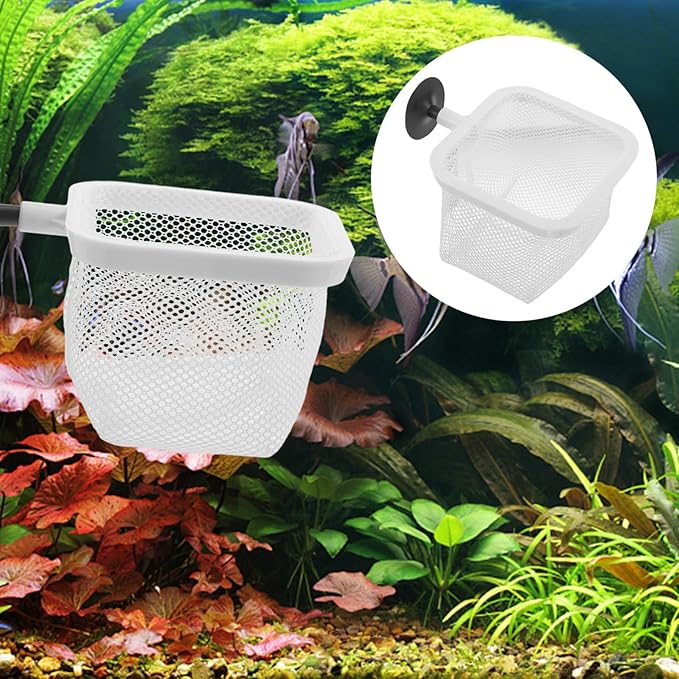 Totority Fish Tank Breeder Net with Suction Cups Durable Isolation Box for Shrimp and Betta Fish Easy Installation and Cleaning Spawning and Protection of Newborns