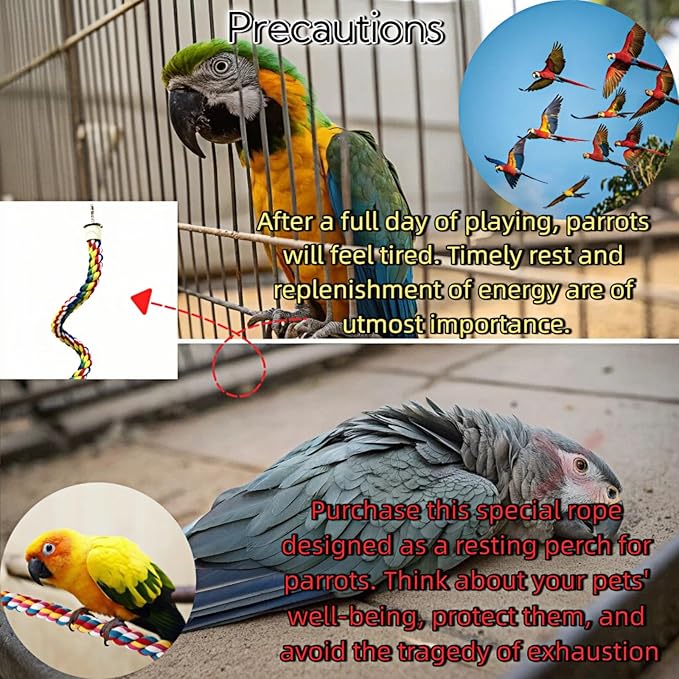 Bird Rope Perches, Parrot Toys, Bungee Rope Perches for Parrots, Cockatiels, Parakeets, Budgie Cages Comfy Birds (Metal Nut) - 31.5 inches