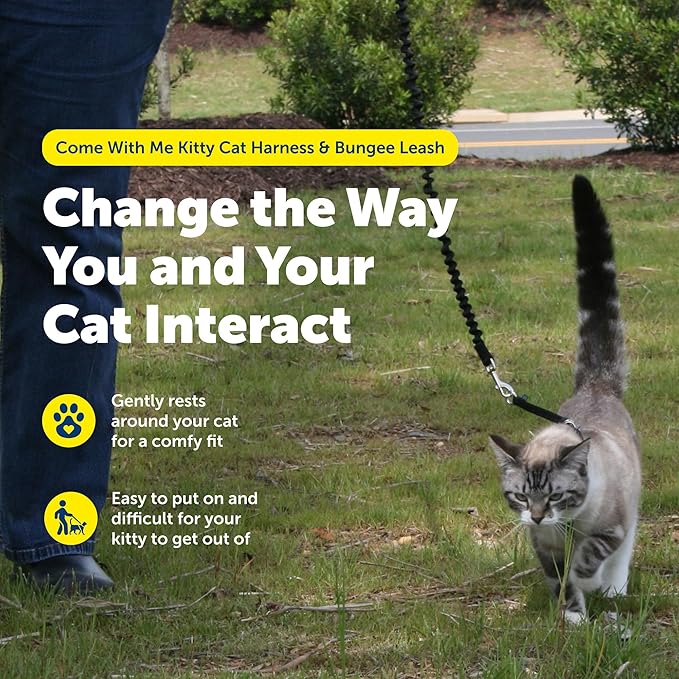 PetSafe Come With Me Kitty Cat Harness & Bungee Leash - Comfortable Cat Harness with Lightweight Bungee Leash for Outdoor Fun - More Secure Walks - Medium - Royal Blue