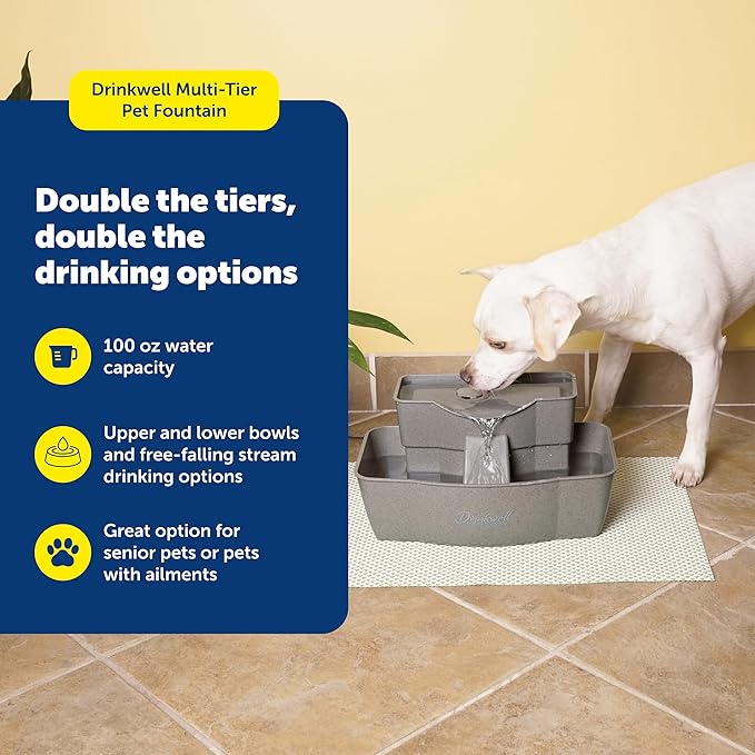 PetSafe Drinkwell Multi-Tier Pet Fountain - Encourages Hydration for Cats & Dogs - Large-Capacity Waterer - Double Tier - Filtered Fountain with Carbon Filter - 100 oz Water Capacity