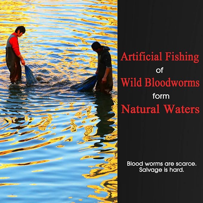 All Natural Tropical Fish Food for Small to Medium Sized Saltwater & Freshwater Fish - Betta Guppy Discus Cichlids Discus Goldfish Angel Fish (Blood Worms)