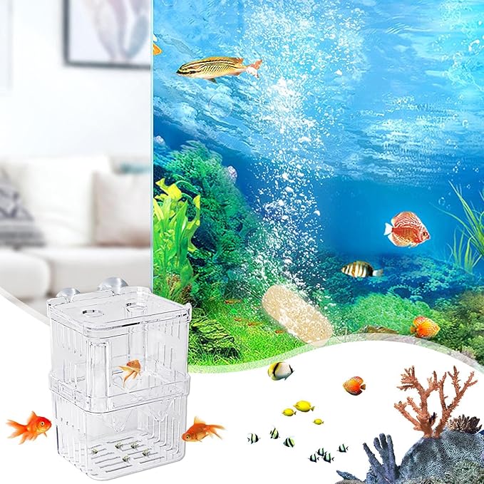 1/2 Fish Acclimation Box - Acrylic Hatchery Incubator Tank, Fish Breeder Box with 2 Suction Cups | Easily Install Breeding Isolation Box, Floating Breeding Box for Baby Fishes Shrimp Betta Guppy