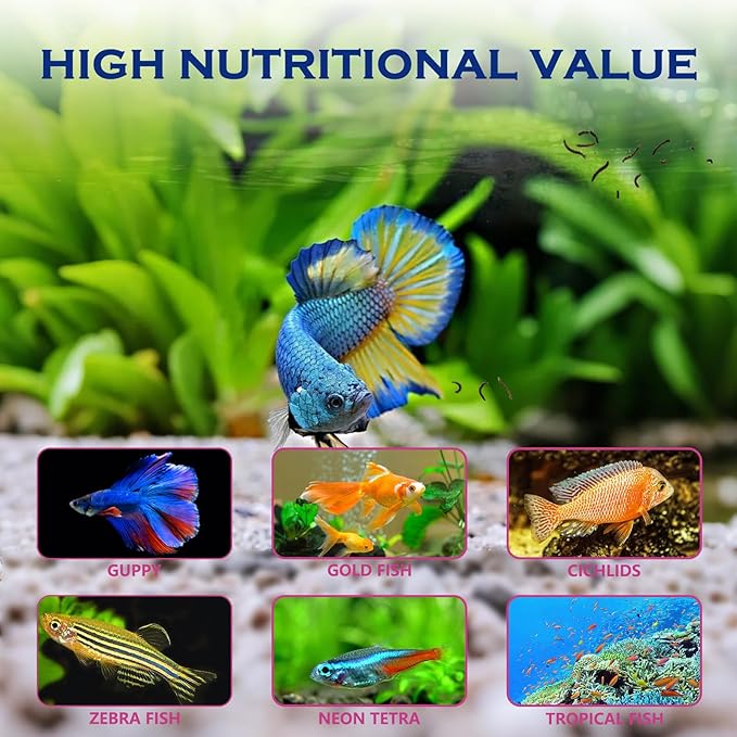 Freeze Dried Blood Worms Fish Food - High Protein Natural Aquatic Food for Tropical & Saltwater Fish, Betta, Goldfish, Cichlid, Guppy - Enhances Color & Growth 2.5 oz