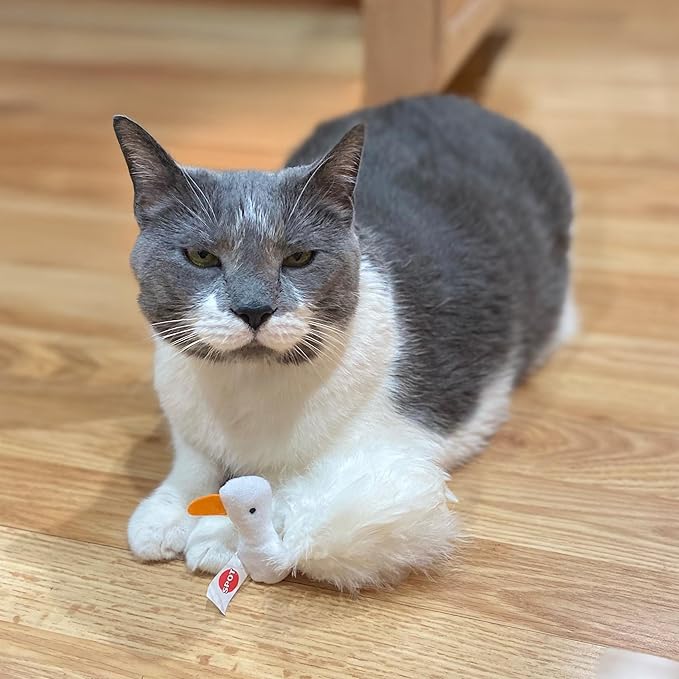 SPOT Birds of a Feather Catnip Toy for Cats – Interactive Plush Toy for Swatting, Pouncing, and Chasing – 6in, Assorted Styles