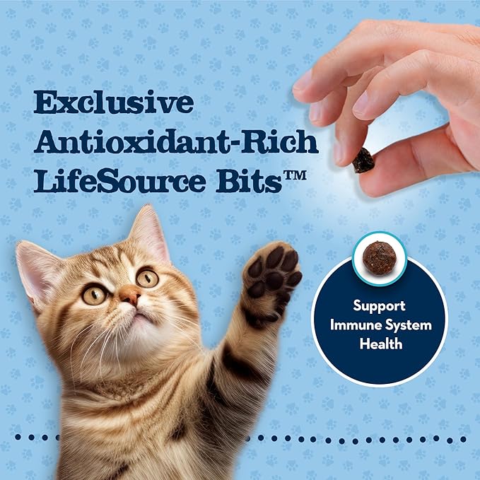 Blue Buffalo Baby Blue Natural Dry Food for Kittens, Healthy Growth Formula with DHA, Chicken and Brown Rice Recipe, 5-lb Bag