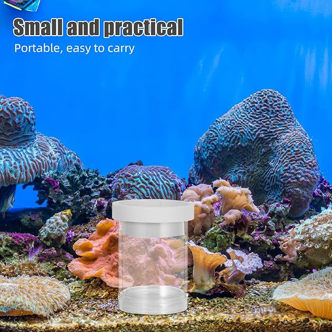 POPETPOP Fish Breeding Isolation Box Floating Fish Incubator Hatchery Mesh Divider for Guppy and Small Juvenile Aquarium Use White Small