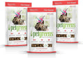Pet Greens Soft-Chew Indoor Cat Treats Infused with Cat Grass - 3 Pack Salmon 3oz per Pack