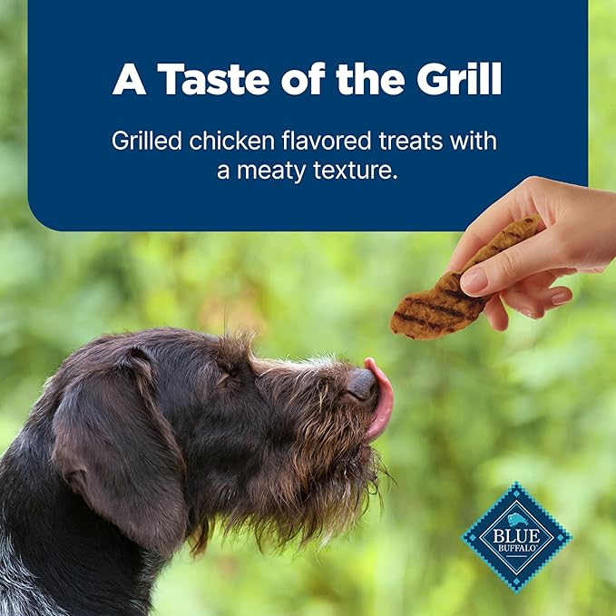 Blue Buffalo Nudges Grillers Natural Dog Treats, Made in the USA with Real Chicken, 16-oz Bag