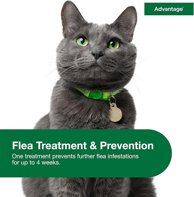 Advantage Topical Cat Flea Treatment and Prevention for Large Cats Over 9 lbs. | Apply Flea Drops Monthly | 2 Treatments,(Pack of 3)