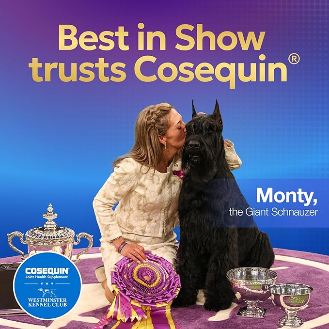 Nutramax Laboratories Cosequin Maximum Strength Joint Health Supplement for Dogs - With Glucosamine, Chondroitin, and MSM, 2 Pack, 264 Total Chewable Tablets