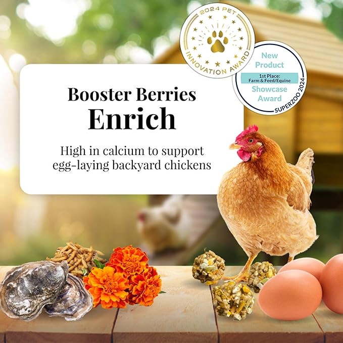 LAFEBER'S Booster Berries Enrich Chicken Supplement, for Chickens (10oz Pack of 2)