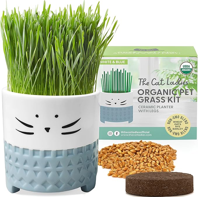 The Cat Ladies Cat Grass for Indoor Cats, Cat Grass Growing Kit with Organic Cat Grass Seed Mix, Soil and Ceramic Cat Planter, Pet Grass for Cats, Natural Hairball Remedy, Cat Gifts