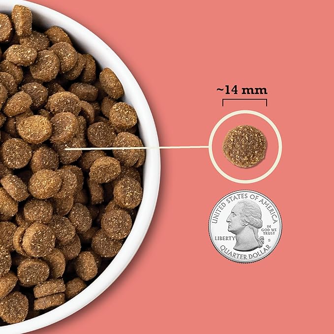 ACANA Wholesome Grains Dry Dog Food Red Meat & Grains Beef Pork & Lamb Recipe 22.5lb Bag