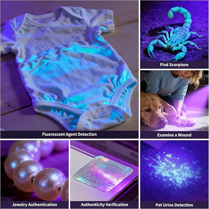 365nm UV Flashlights Rechargeable, Blacklight with USB-C Cord for Pet Urine, Resin Curing, Carpet Stains, Scorpions, and Bed Bug Inspection