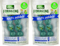 Wild Harvest Foraging Instincts Peck n’ Play Interactive Treat, 2 Ounce, for Small Birds (Pack of 2)