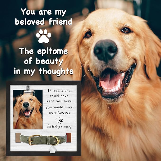 Pet Loss Sympathy Gift, Memorial Gifts for Loss of Dog, Pet Memorial Frame with Collar Holder, Cat Memorial Gift, in Loving Memory