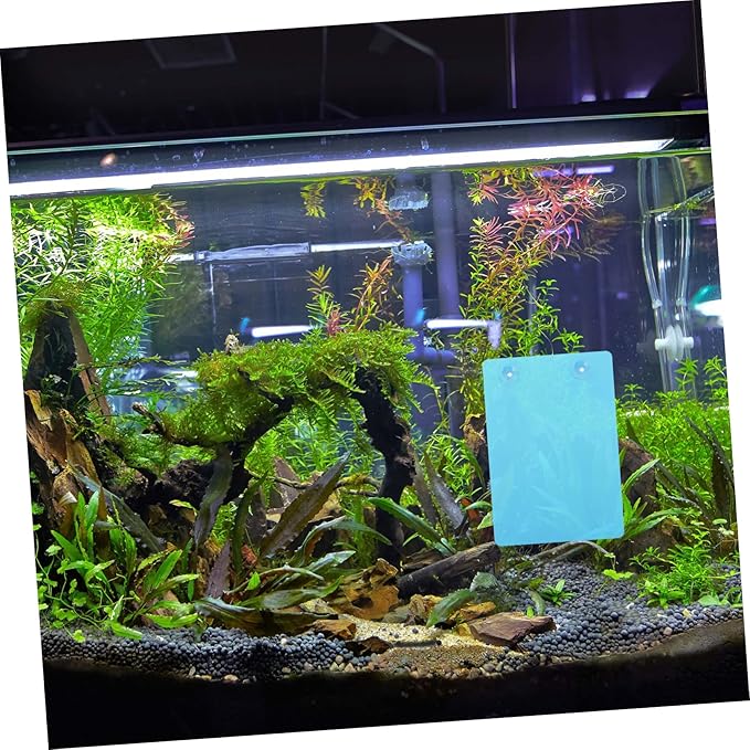 Healifty 2Pcs Fish Breeding with Suction Cup Large Smooth Surface Spawning Plate for Angelfish Breeding Tank Hatchery