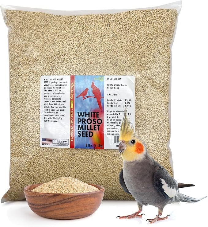Morning Bird White Proso Millet 9 lbs – Natural Bird Seed – Supports Feather Growth & Balanced Nutrition – High Energy Delicious Seed - Ideal for Finches, Parakeets & Pet Birds