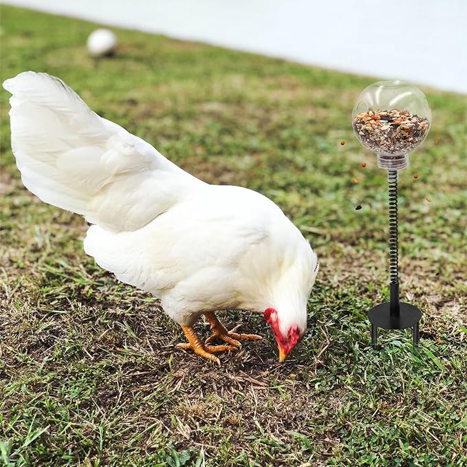 Oooct 4 Pack Chicken Peck Toy - Chicken Enrichment Toys with Swing Feeder & Slow Feeder for Hens, Ducks, Parrots