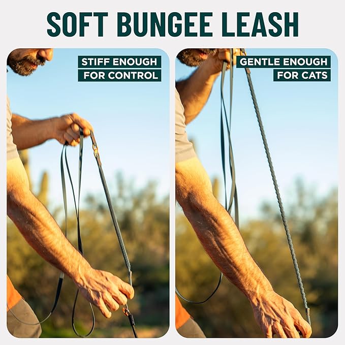 OutdoorBengal Kushma™ - Long Leash for Cats and Small Dogs with Bungee - Silicone + Nylon - No Tangle, Hands-Free for Waist and Body, Lightweight - Extra Long Cat Leash for Small Dogs (Desert)