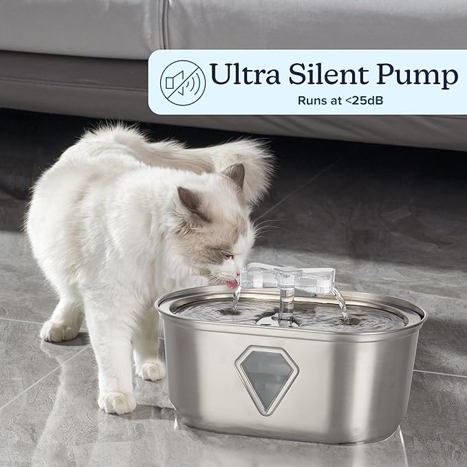 Cat Water Fountain - Stainless Steel Water Fountain for Small Pets - 118oz/3.5L Automatic Cat Water Dispenser with Water Level Window by PETMAKER