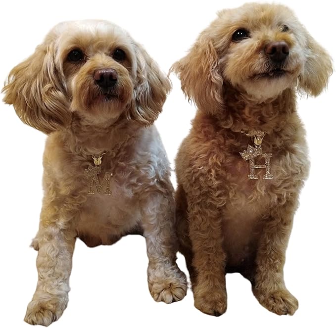 Initial Letter Cuban Chain Dog Chain Pet Chain Pet, Cat, Puppy Necklace (C, 20")