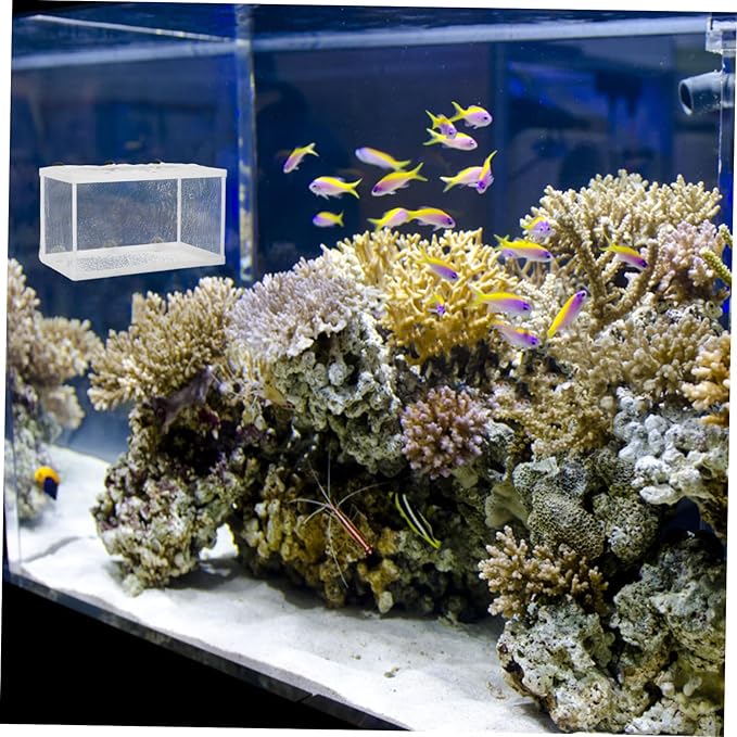 Large Size Aquarium Isolation Box Fish Breeding Tanks Net Fish Box Suction Cup