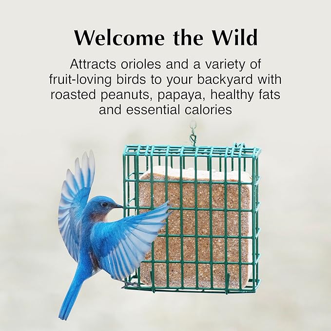 C&S Oriole Delight No Melt Suet Dough, Suet Cakes for Wild Birds, 11.75 Ounces, Pack of 8