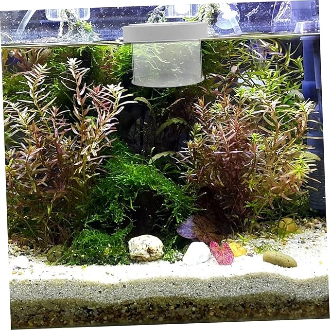 NOLITOY 3pcs Fish Box Floating Aquarium Breeding Box Transparent Isolation Tank for Fish Lightweight Design Removable Cover for Home Use and Quick Adaptation