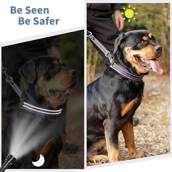 Mayerzon Martingale No Pull Collar for Medium Large Dogs, Patented Anti Pull Dog Collar with Buckle for Walking Training, with Neoprene Padding and Reflective Stitching, Adjustable(Purple Trim, L)