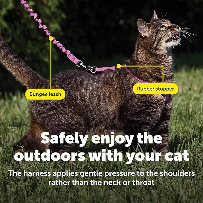 PetSafe Come With Me Kitty Cat Harness & Bungee Leash - Comfortable Cat Harness with Lightweight Bungee Leash for Outdoor Fun - More Secure Walks - Medium - Dusty Rose