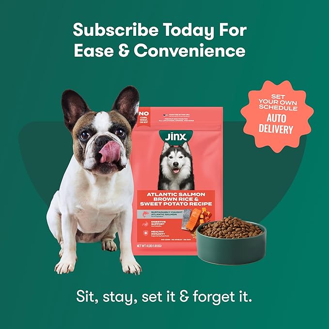Jinx Premium Dry Dog Food, for All Life-Stages - Real Salmon, Brown Rice & Sweet Potato Kibble with Superfoods for Immune Support & Probiotics for Digestive Support - No Fillers – 4lb