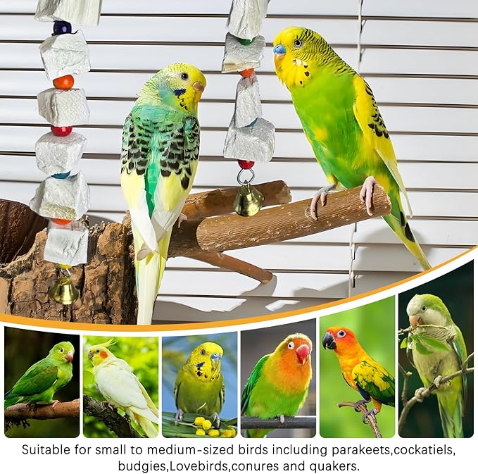 Hamiledyi 2 Pack Bird Toys with Eight Cuttlebone - Natural Calcium Chew Toy for Beak Grinding, Hanging Wooden Cage Accessories for Parakeets, Budgies, Cockatiels, Lovebirds(Style B)