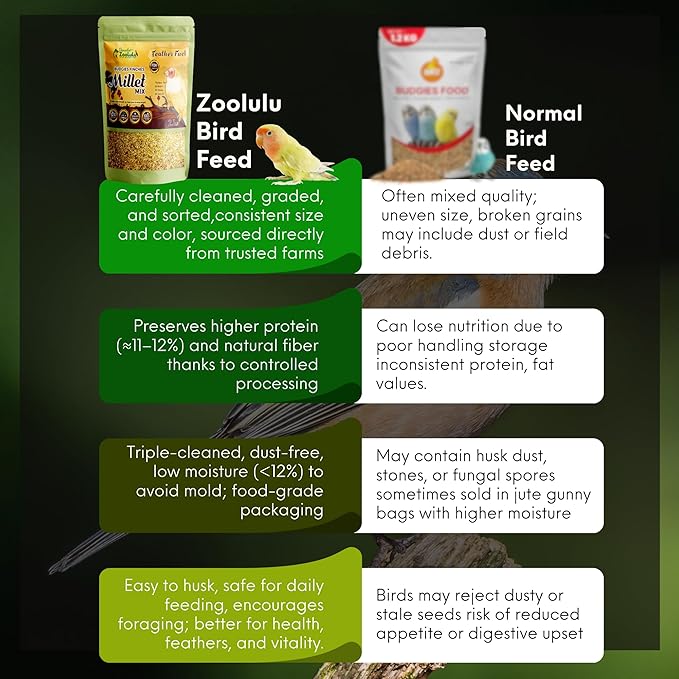 Danodia's Zoolulu Premium Conure Energy Millet Mix (950g/2 lbs) | Premium Bird Food Blend for Conures, Quakers, Cockatiels & Lovebirds | Daily Feeding Blend