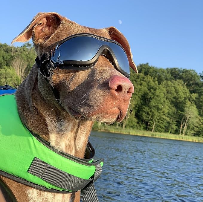 Enjoying Dog Goggles for Medium to Large Dogs, Dog Sunglasses UV Protection, Large Dogs Driving Eye Protection, Windproof Dustproof Anti-Fog, Breathable, Adjustable Straps, Black