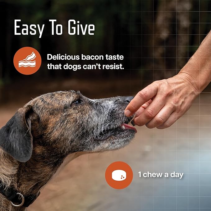 Virbac URSOLYX™ Soft Chews for Dogs | Muscle Health Support for Senior, Active or Recovering Dogs, Large Over 60lbs | 60 Count 2- Month Supply