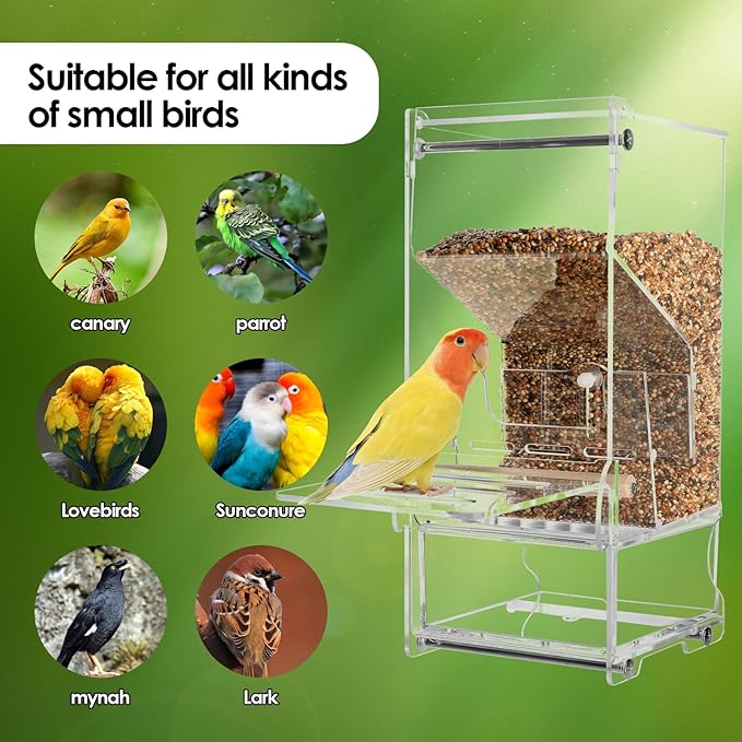 No Mess Bird Feeder Automatic Thickened Bird Seed Food Container Transparent Acrylic Parrot Food Holder with Stand, Bird Feeder for Cage, Reducing-Waste Foraging Feeder for Small Birds