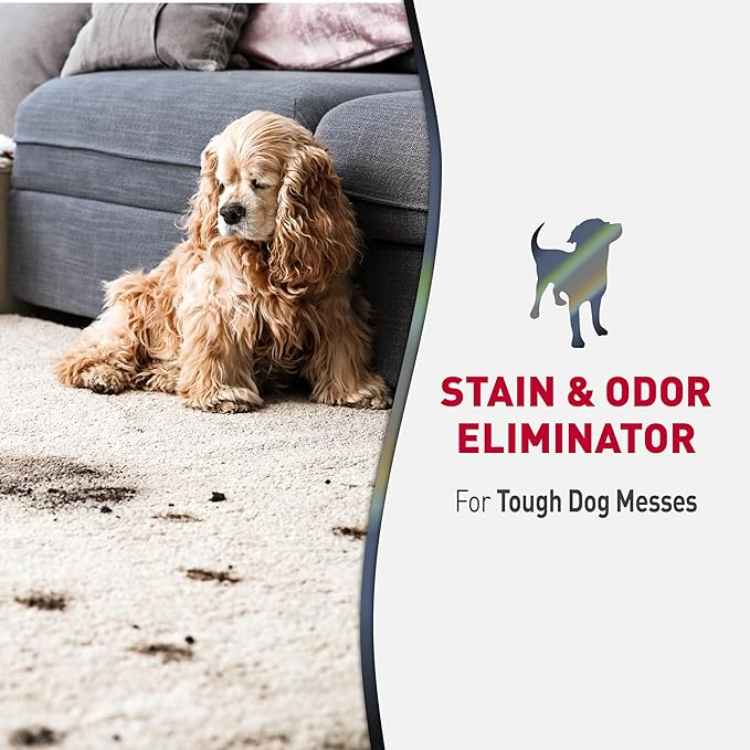 Nature’s Miracle Advanced Stain And Odor Eliminator for Dogs, Fresh Scent, Severe Mess Enzymatic Formula For Tough Pet Messes, 1 Gallon