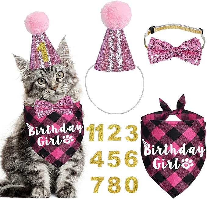 Cat Birthday Decorations, Cat Birthday Hat with Numbers Bandana Bow Tie for Cats Kittens (Pink)