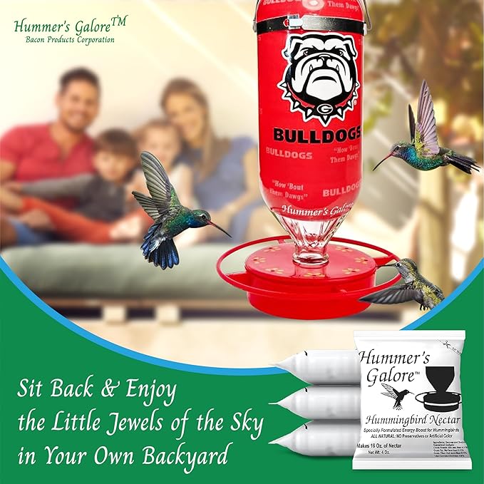 Hummer's Galore Hummingbird Food, Ready-to-Mix Hummingbird Nectar, All-Natural Nectar Collector Formula, No Preservatives or Dyes, Makes 192 oz (Pack of 3)