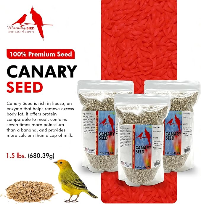 Morning Bird Canary Seed 4.5 lbs (3-Pack, 1.5 lbs Each), Nutrient-Rich Bird Seed, Creamy Golden Grain Powerhouse - Supports Healthy Feathers & Strong Bones – Natural Daily Nutrition for All Bird Types