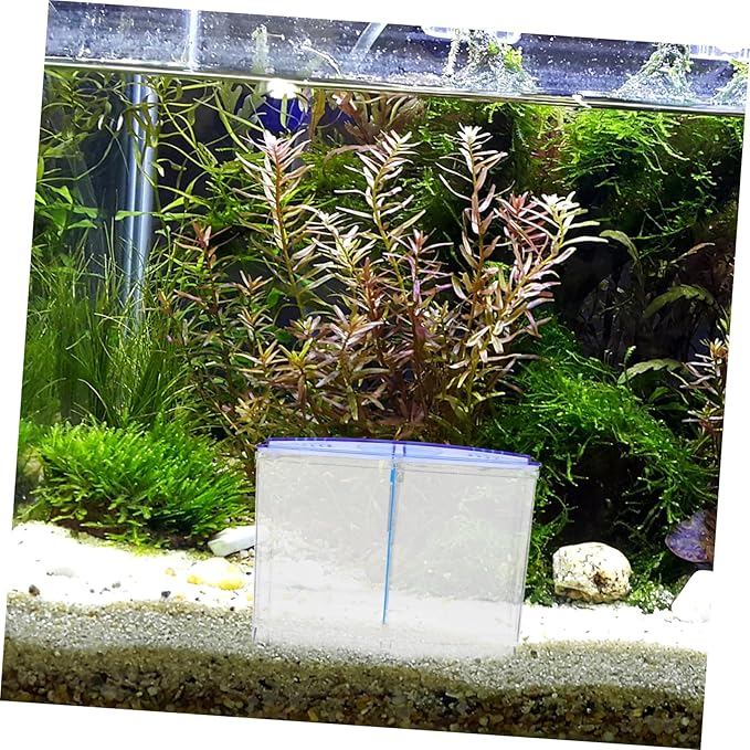 Kisangel Aquarium Isolation Box for Fish Breeding Durable Multipurpose Fish Separator with Oxygen Supply for Guppy