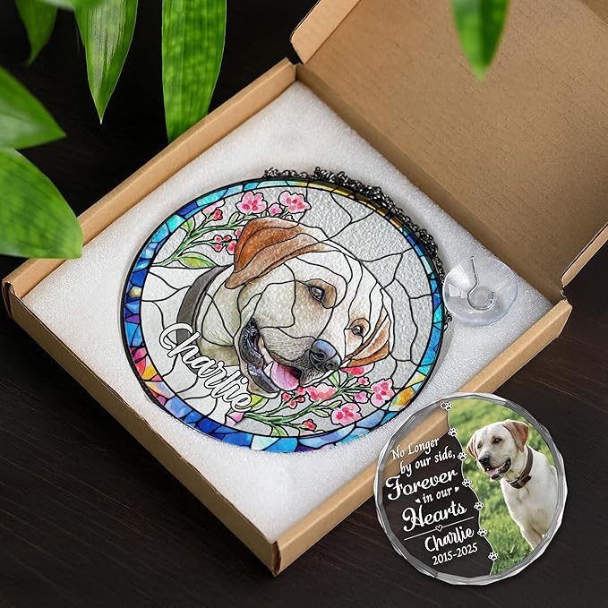 Personalized Pet Stained Glass Window Hanging, Dog Memorial Suncatcher Picture, Sympathy Gift for Loss of Pet, Cat Bereavement Keepsake Portrait Photo, Remembrance Gift for Dog Lovers