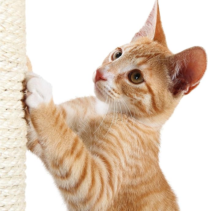 TRIXIE Replacement Sisal Post for Cat Scratching Posts, Backup Scratcher for Indoor Cat Furniture, Trees and Towers, 3.5 in x 11.8 in (9 x 30 cm)