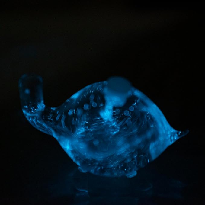 Bioluminescent Bio-Turtle Gift Option, Glass Turtle Micro-Aquarium, Redeemable PyroDino Card for Live PyroDinos and DinoNutrients