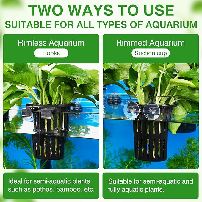 Borlech 2025 New Upgraded Large Aquarium Plant Holder with 1.57-inch Extension Hooks and Suction Cups for Fish Tank Aquaponic Plant Cultivation and Aquascape Accessories Decorations (4 PCS)