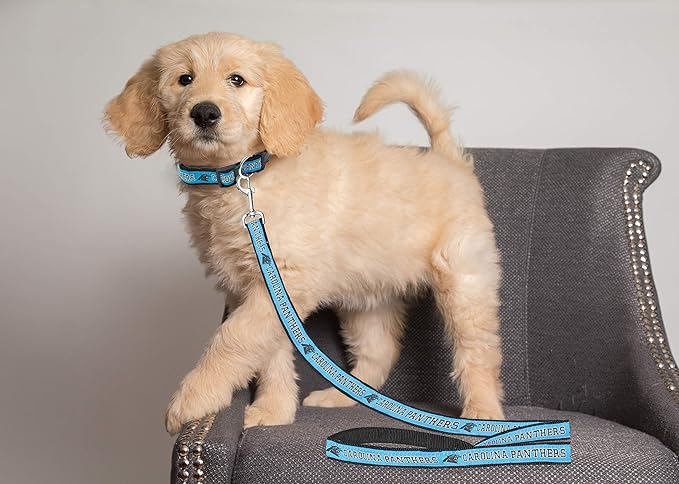 Pets First NFL Licensed Carolina Panthers Pet Leash, Size Small – Durable Satin Dog & Cat Walking Strap and Pet Tether with Embroidered Team Name & Logo