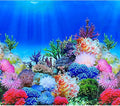 Fish Backgrounds Paper Double Sides Undersea Aquarium Background Poster Colorful Sea Anemone Fish Tank Background Sticker Decorations 16"x 33"