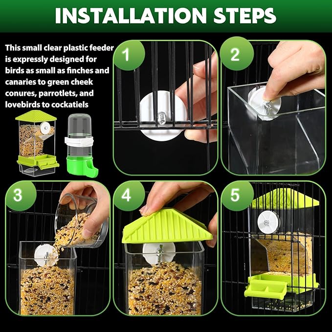 Yaomiao 4 Pcs No Mess Small Bird Feeders Automatic Parakeet Water Dispenser Clear Quail Feeder and Watered Cage Accessories for Small and Medium Parakeet Cockatiel Canary(Assorted,Green)