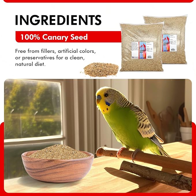Morning Bird Canary Seed 18 lbs (2-Pack, 9 lbs Each), Nutrient-Rich Bird Seed, Creamy Golden Grain Powerhouse - Supports Healthy Feathers & Strong Bones – Natural Daily Nutrition for All Bird Types
